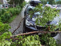 Половина дерева упала на кроссовер в Южно-Сахалинске, Фото: 6