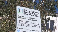 Платные парковки могут появиться в Южно-Сахалинске , Фото: 1