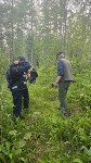 Заблудившегося пенсионера вывели из леса спасатели Южно-Сахалинска, Фото: 1