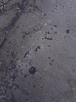 В Анивском районе снова обнаружили пятна мазута, Фото: 3