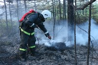 Ответственность за ликвидацию пожаров будут нести главы районов Сахалинской области , Фото: 12