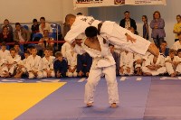 Второй год подряд в Южно-Сахалинске проводится международный турнир по дзюдо, Фото: 13