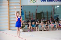 В Южно-Сахалинске состоялись соревнования по спортивной гимнастике, Фото: 3