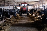 Сахалинские фермерские хозяйства обеспечат кормами для скота, Фото: 1