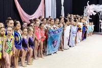 Первенство ДФО по эстетической гимнастике , Фото: 11