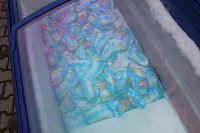 Маленьких сахалинцев на «Горном воздухе» бесплатно угостили мороженным, Фото: 1