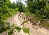 На экскурсию по югу острова приглашают сахалинцев, Фото: 4