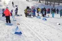 Соревнования по лыжным гонкам, Фото: 8
