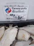 Почти 450 тонн свежевыловленной рыбы по сниженным ценам продали сахалинцам и курильчанам в 2022 году, Фото: 9