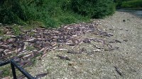 Около 100 кг икры изъяли у браконьеров в Охинском районе, Фото: 10