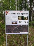 Хабаровчане приняли участие в раскопках на Сахалине, Фото: 12