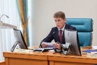 Сахалинские депутаты просят правительство построить мост на материк на "нефтяные" деньги , Фото: 6