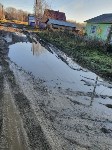 Сахалинцы показали "страшную" дорогу в Тымовском: дети ходят по уши в грязи, взрослые строят мосты, Фото: 2