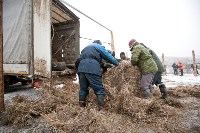 Около сотни благородных оленей доставили на Сахалин, Фото: 13