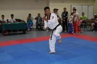 Юношеские игры боевых видов искусств прошли в Южно-Сахалинске, Фото: 50