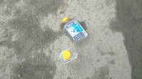 Пешеход с двумя бутылками "Пушистика" упал под колеса самосвала в Дальнем, Фото: 5