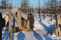 Якутские олени обживаются на севере Сахалина: фоторепортаж из Ногликского района, Фото: 84