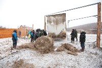 Около сотни благородных оленей доставили на Сахалин, Фото: 18