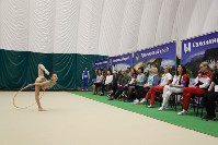 Тренер олимпийской чемпионки даст мастер-класс сахалинским гимнасткам, Фото: 14