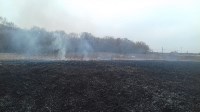 Около двух часов пожарные тушили горящую траву на поле в Дальнем, Фото: 1
