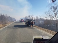 Пал травы перерос в большой природный пожар в окрестностях Березняков, Фото: 7