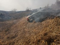 Пожар у села Новоселово, Фото: 1