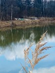 Свалку обнаружили в районе очистных сооружений, Фото: 1