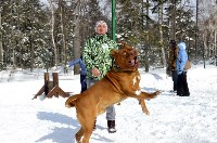 Собачьи бега в Южно-Сахалинске, Фото: 31