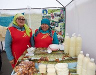 В Южно-Сахалинске отметили многонациональный праздник Сабантуй, Фото: 2