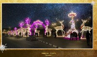Как осветить город к Новому году решили в Южно-Сахалинске, Фото: 5