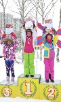 В Южно-Сахалинске состоялось открытое первенство СДЮСШОР по горнолыжному спорту «Юный армеец» , Фото: 8
