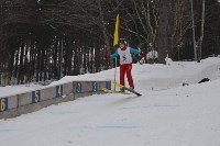 Первенство области по прыжкам на лыжах с трамплина , Фото: 13