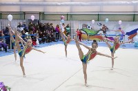 Около 200 юных гимнасток выступили в Новоалександровске, Фото: 1