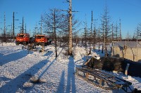 Якутские олени обживаются на севере Сахалина: фоторепортаж из Ногликского района, Фото: 73