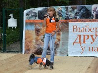 В рамках выставки беспородных собак в Южно-Сахалинске 8 питомцев обрели хозяев, Фото: 275