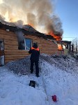 В СНТ "Солнышко" из огня спасли четыре кошки и одну собаку, Фото: 6