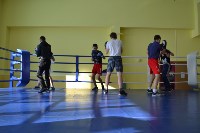 Сахалин впервые принимает первенство ДВФО по боксу, Фото: 5