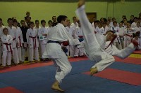 Командные соревнования по каратэ прошли в Холмске, Фото: 9