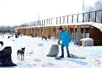 Больше 100 кг корма передали волонтеры сахалинскому приюту «Пес и кот», Фото: 7