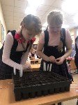 Сахалинских третьеклашек научили сеять семена лиственницы прямо в школе, Фото: 1