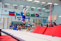 В Южно-Сахалинске состоялись соревнования по спортивной гимнастике, Фото: 7