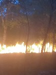 Пожар в лесу в Анивском районе, Фото: 4