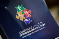 В Южно-Сахалинске прошла вторая бизнес-конференция «ЮСАБИКО», Фото: 2