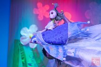 Сахалинский театр кукол едет на Северные Курилы, Фото: 6