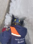 В Южно-Сахалинске спасли застрявшего под снегом бездомного пса, Фото: 2