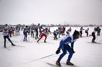Соревнования по лыжным гонкам в Троицком, Фото: 11