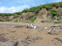 Семья из Южно-Сахалинска убрала мусор за отдыхающими на пляже в Пригородном , Фото: 2