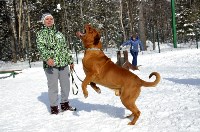 Собачьи бега в Южно-Сахалинске, Фото: 24