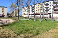 Новый сквер с фигурами морских животных откроют в Поронайске, Фото: 5