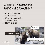 Охотоведы рассказали, сколько человек погибли от лап медведей на Сахалине в 2022 году, Фото: 3
